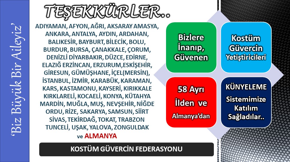 Teşekkürler..